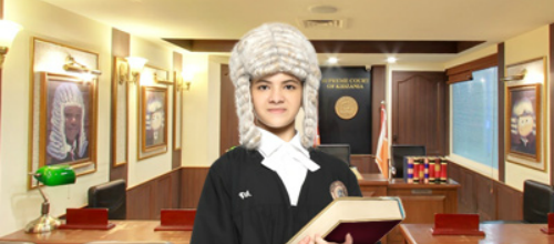 judge_role-play 